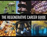 The Regenerative Career Guide - Permaculturepowers123