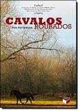 Livro - Cavalos roubados