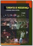 Torrentes de inseguranca - Autor independente