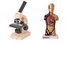 Torso 28 cm + microscópio monocular - Cosim