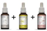 Tratamento Floral Veterinário Para Cães e Gatos: Tratamento Natural para Ansiedade, Hiperatividade e Estress - Bioflorais