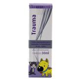 Trauma 30ml Homeopet Real H Homeopatico Dor Cães e Gatos - Homeo pet - real h