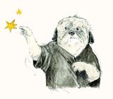 Três desejos para o sr. Pug