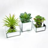 Trio de Cachepots Espelhados - Vasos Decorativos para Suculentas e Cactos - Cr vidros