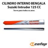 Tubo cilindro interno bengala suzuki intruder 125 cc cofap unidade