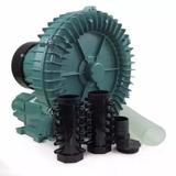 Turbina De Ar Soprador Sunsun Hg-1100 220v 2cv 165 M3/h