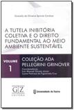 Tutela Inibitória Coletiva e o Direito Fundamental ao Meio Ambiente Sustentável, A - Gz editora