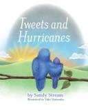 Tweets and Hurricanes - Sandy stream publishing