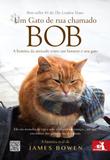 Um Gato de Rua Chamado Bob - Novo conceito