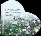 Um presente especial para minha neta