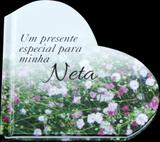 Um presente especial para minha neta
