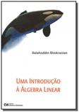 Uma introducao a algebra linear - Ciencia moderna