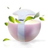 Umidificador De Ar E Aromatizador Portátil Lelong LE-2317 - Morgadosp