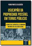 Usucapiao da propriedade possivel em terras public - Jurua