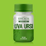 Uva Ursi 500mg - 60 cápsulas - 30