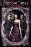 Vampire Diaries, the - Love Sucks - 1º A 5º Temporadas - Warner home video