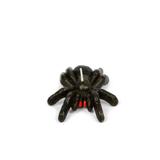Vela Aranha Negra - Festabox