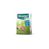 Vermífugo Drontal Gatos com 4 Comprimidos - Bayer