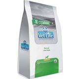 Vet life cão renal mini breeds 2kg - Farmina