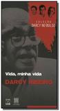 Vida, minha vida - colecao darcy no bolso - Unb