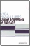 Vida Passada a Limpo, A - Cia das letras