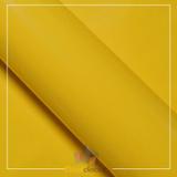 Vinil Adesivo Amarelo Médio 0,50 cm largura x 1,0 metro Comprimento - Final decor