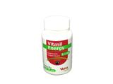 Vitasil Energy 60 g Suplemento vitamínico comprimidos - Vansil