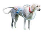 Woof Washer 360 Chuveiro Pets Lava Jato Para Cachorros (Bsl-lac-1) - Braslu