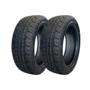 Pneu Doublestar W01 215/55 R18 95t - 2 Unidades