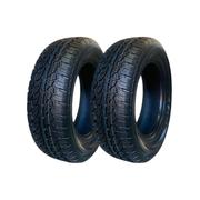 Pneu Aplus Tires A929 A/t 245/65 R17 107t - 2 Unidades
