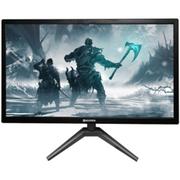 Monitor 22