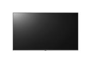 Monitor 43