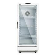 Geladeira/refrigerador 198 Litros 1 Porta Branco Eco Gelo - Eos - 220v - Eev200b