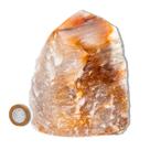 01 Aragonita Raio Laranja Pé e Bico Serrado 5 a 9cm 100 a 200g Tipo B