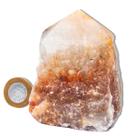 01 Aragonita Raio Laranja Pé e Bico Serrado 8 a 12cm 400 a 500g Tipo B