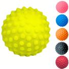 01 Bolinha Cravo Fisioterapia Anti Stress Mão Bola Pet Pés Massageadora
