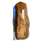 01 Bronzita Pé Bico e Corpo Polido Natural 1Kg 17cm Tipo B 01 Bronzita Pé Bico e Corpo Polido Natural 1Kg 17cm Tipo B
