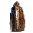 01 Bronzita Pé Bico e Corpo Polido Natural 2Kg 19cm Tipo B 01 Bronzita Pé Bico e Corpo Polido Natural 2Kg 19cm Tipo B