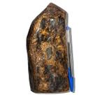 01 Bronzita Pé Bico e Corpo Polido Natural 2Kg 21cm Tipo B