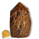 01 Bronzita Pé Bico e Corpo Polido Natural 350g 9cm Tipo B 01 Bronzita Pé Bico e Corpo Polido Natural 350g 9cm Tipo B