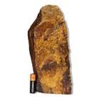 01 Bronzita Pé Serrado 14 a 18cm 2 a 3kg Tipo B