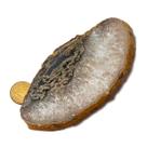 01 Chapa de Ágata Pedra Natural 100 a 200g 12 a 13cm Tipo B