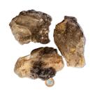 01 Elestial Jacaré Pedra Natural 0,9 a 1Kg 12 a 20cm Tipo A