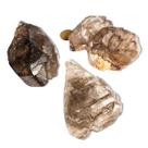 01 Elestial Jacaré Pedra Natural 300 a 350g 8 a 13cm Tipo A