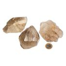 01 Elestial Jacaré Pedra Natural 450 a 500g 8 a 13cm Tipo C
