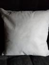 01 Enchimento de Almofada (0,50 L x 0,50 A)