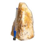 01 Hematoide Amarelo Pé Serrado 12 a 16cm 1 a 2kg Tipo B