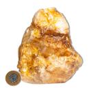 01 Hematoide Amarelo Pé Serrado 15 a 25cm 1,5 a 2kg Tipo B