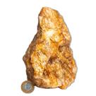 01 Hematoide Amarelo Pé Serrado 26 a 30cm 7 a 8kg Tipo B
