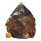 01 Ônix Preto Pé e Bico Serrado 500 a 1000g 10 a 12cm Tipo B 01 Ônix Preto Pé e Bico Serrado 500 a 1000g 10 a 12cm Tipo B